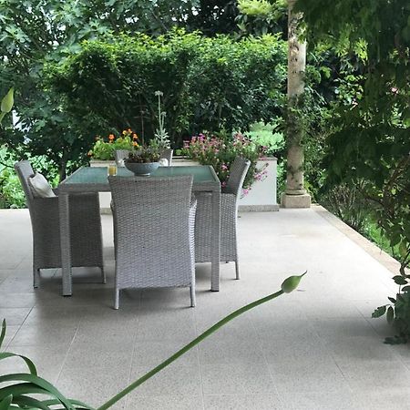 Camelias Bed & Breakfast Guimaraes Bagian luar foto