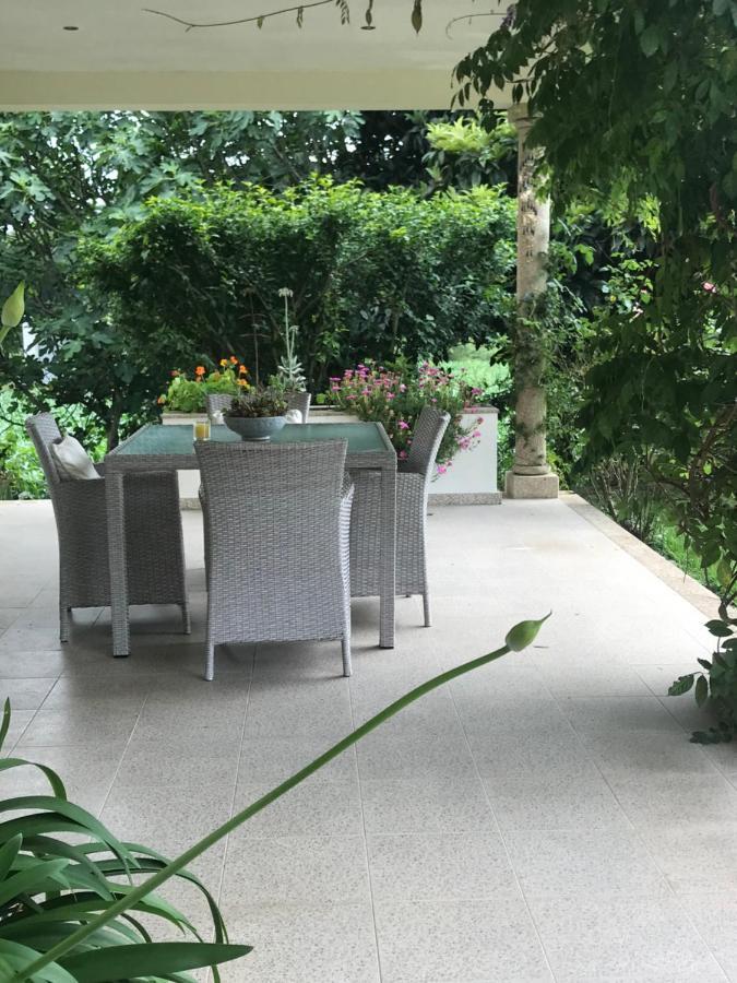 Camelias Bed & Breakfast Guimaraes Bagian luar foto