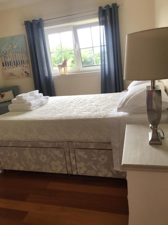 Camelias Bed & Breakfast Guimaraes Bagian luar foto